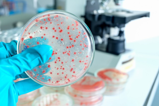 Микробиология и ГМО